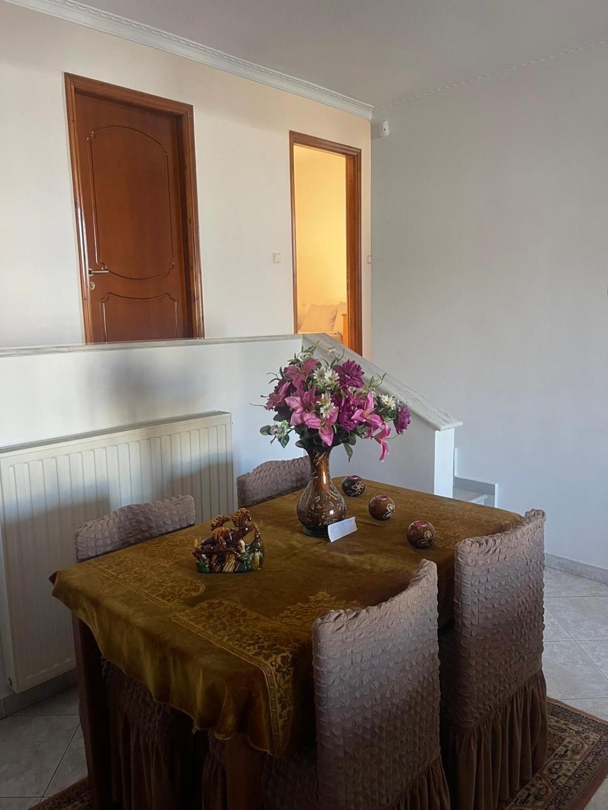 Bright Apartment, Spacious Near The Center Tríkala エクステリア 写真
